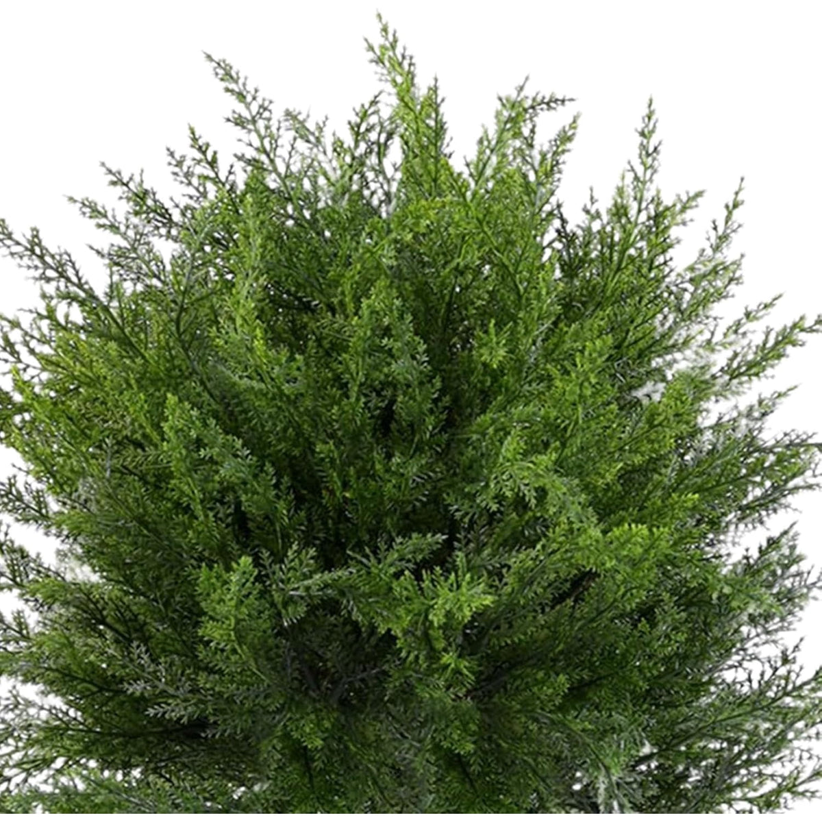 Waipfaru Set of 2 Artificial Cedar Topiary Tree, 22inch Outdoor Fake Plants with Stakes,UV Resistant Faux Shrubs for Front Porch Planter Backyard Decor