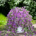 Waipfaru Artificial Hanging Flowers for Outdoors Spring Summer Decoration,2 Pcs UV Resistant Faux Silk Violet Fake Flowers for Garden Porch Window Home Decor(Purple)