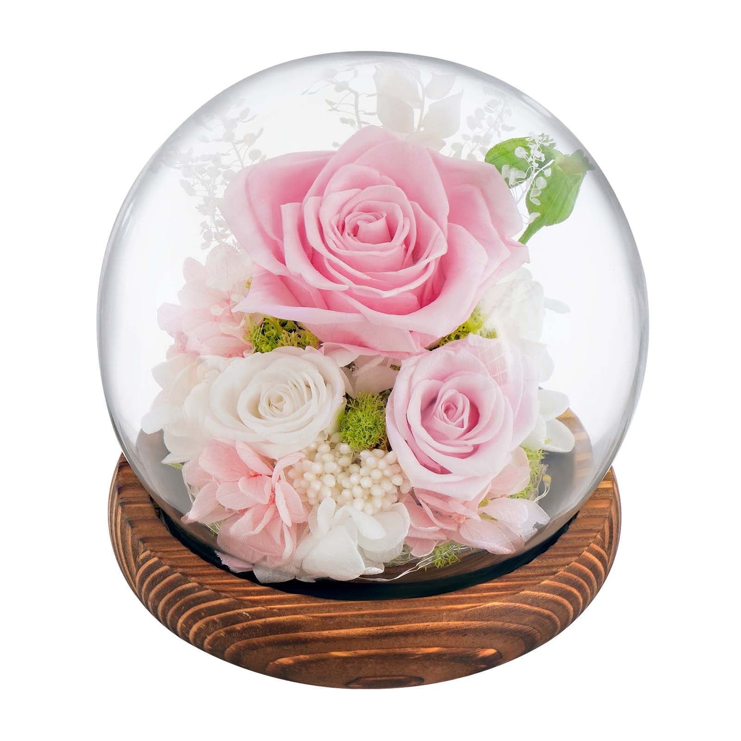 Waipfaru Preserved Rose in Glass Dome with Wooden Base,Eternal Rose Flower for Valentine’s Day, Anniversary, Birthday, Romantic Gift for Her