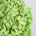 Waipfaru 4Pcs Hydrangea Artificial Flowers,20" Faux Hydrangea Flower with Stems,Full Latex Real Touch Hydrangea Flowers for Office Home Party Wedding Decor(Green)